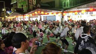 華舞遊　（徳島　阿波踊り　2017.8.15）