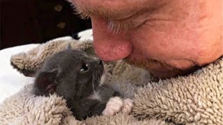 Man Won't Leave Abandoned Sick Kitten Until She Gets Better