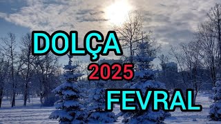 DOLÇA BÜRCÜ.♒️ FEVRAL. 🌹TARO-PROQNOZ.  2025.