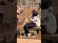 鹿の凄い所を見た外国人観光客は喜びを隠せない🫎nara park▶️クリックでロングバージョンに移ります