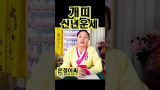 (용한점집) 2025년 개띠 운세 #띠별운세 #개띠 #개 #신년운세 #상반기 #하반기 [점점tv정주행]