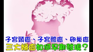 子宮頸癌、子宮體癌、卵巢癌三大婦癌 如何早期發現？｜好心肝˙好健康