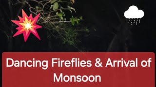 Glittering Fire Flies indicates arriving monsoon| Karkala| ಮಿಂಚು ಹುಳದ ನರ್ತನ, ಮುಂಗಾರಿನ ಮುನ್ಸೂಚನೆ