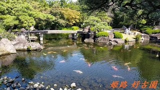 カンちゃんの日本散歩　息を呑む美しさの日本庭園　姫路の好古園を動画撮影。姫路観光で見落とされがちな「隠れ絶景」です。姫路城西御屋敷跡庭園好古園　江戸時代初期の傑作を紹介いたします