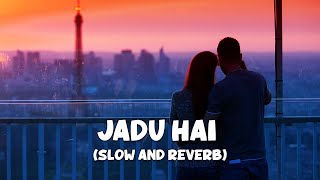 Jadoo Hai Tera | Full Lofi Song (Slow and Reverb) | Ghulam | NestMusicZ