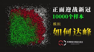 10000个样本，模拟新冠如何达峰。解释病毒的群体免疫是什么？