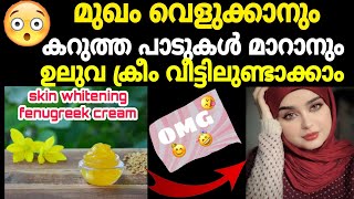 എത്ര പൈസ കൊടുത്താലും ഇങ്ങനെ ഒരു ക്രീം നിങ്ങൾക്ക് കടയിൽ വാങ്ങാൻ കിട്ടില്ല അത്രയ്ക്കും സൂപ്പർ ആണ്