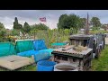 allotment tour bangladeshi vegetables