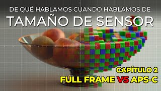 TAMAÑO DE SENSOR (2): Full Frame vs APS-C