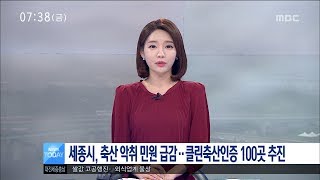 [대전MBC뉴스]세종시, 축산 악취 민원 급감..클린축산 100곳 인증