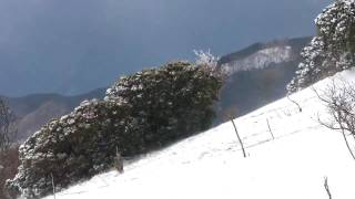 三峰山八丁平の地吹雪2010