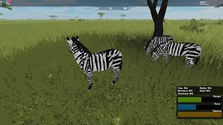 Roblox Zebra Updated Random Game Slot Wild Animals Let S Play - random game slot read desc roblox