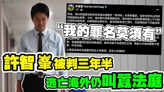 許智峯被判三年半　目前仍在海外逃亡