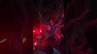 Guy Talking To Guy On Translator Spanish Car Crash