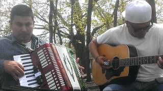 Matón a sueldo-los punteros de tigrillos beach