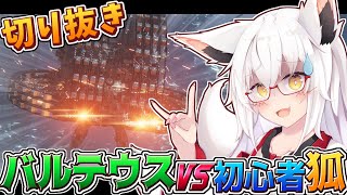 【AC6】20分の激闘!!　バルテウスVS初心者狐！！【切り抜き】【VTuber】