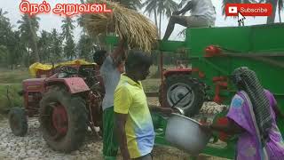 நெல் அறுவடை செய்தல் | Rice Harvest in tamil