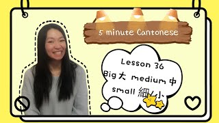 Cantonese Lesson 36: big medium small(大中細/小)to buy tickets買飛 #learncantonese #cantonese