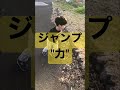 半端ないジャンプを決める人 shorts 逆再生 ジャンプ力