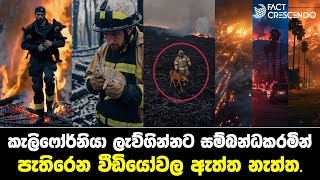 කැලිෆෝර්නියා ලැව්ගින්නට සම්බන්ධකරමින් පැතිරෙන වීඩියෝවල ඇත්ත නැත්ත.