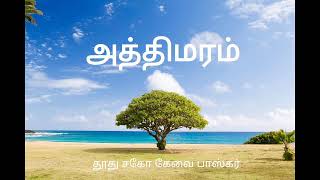 அத்திமரம்  உவமை