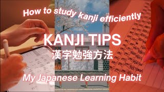 🇯🇵 How to Learn Kanji easily & consistently | My Japanese Learning Habit