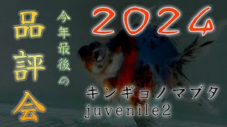 キンギョノマブタjuvenile2にメンバーみんなで参加しました