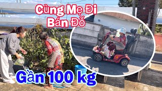 Đỗ Năm Nay Bội Thu .Mẹ Bán Lấy Tiền 🤣