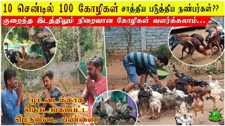 10 சென்டில் 100 கோழிகள் சாத்தியப்படுத்திய நண்பர்கள் / முட்டைக்காக தொடங்கப்பட்ட பெருவிடை பண்ணை ??