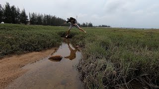 阿文赶海遇好货太拼了，直接飞扑出去擒住，又肥又大讨人喜