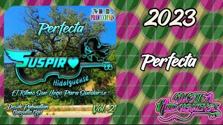 Perfecta - Trío Suspiro Hidalguense •|• Vol.2 PERFECTA 2023