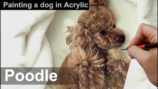 Painting a dog in acrylic/dogportrait/Poodle/반려동물초상화/푸들