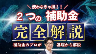 【誰でも簡単！！】2つのお手軽な補助金徹底解説