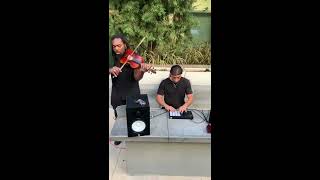 Violin Trap with DSharp