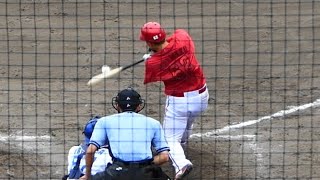 中村貴浩、清水叶人ツーベース 二俣マルチなど 若鯉本日の全6安打 2023年6月15日 広島東洋カープ 二軍