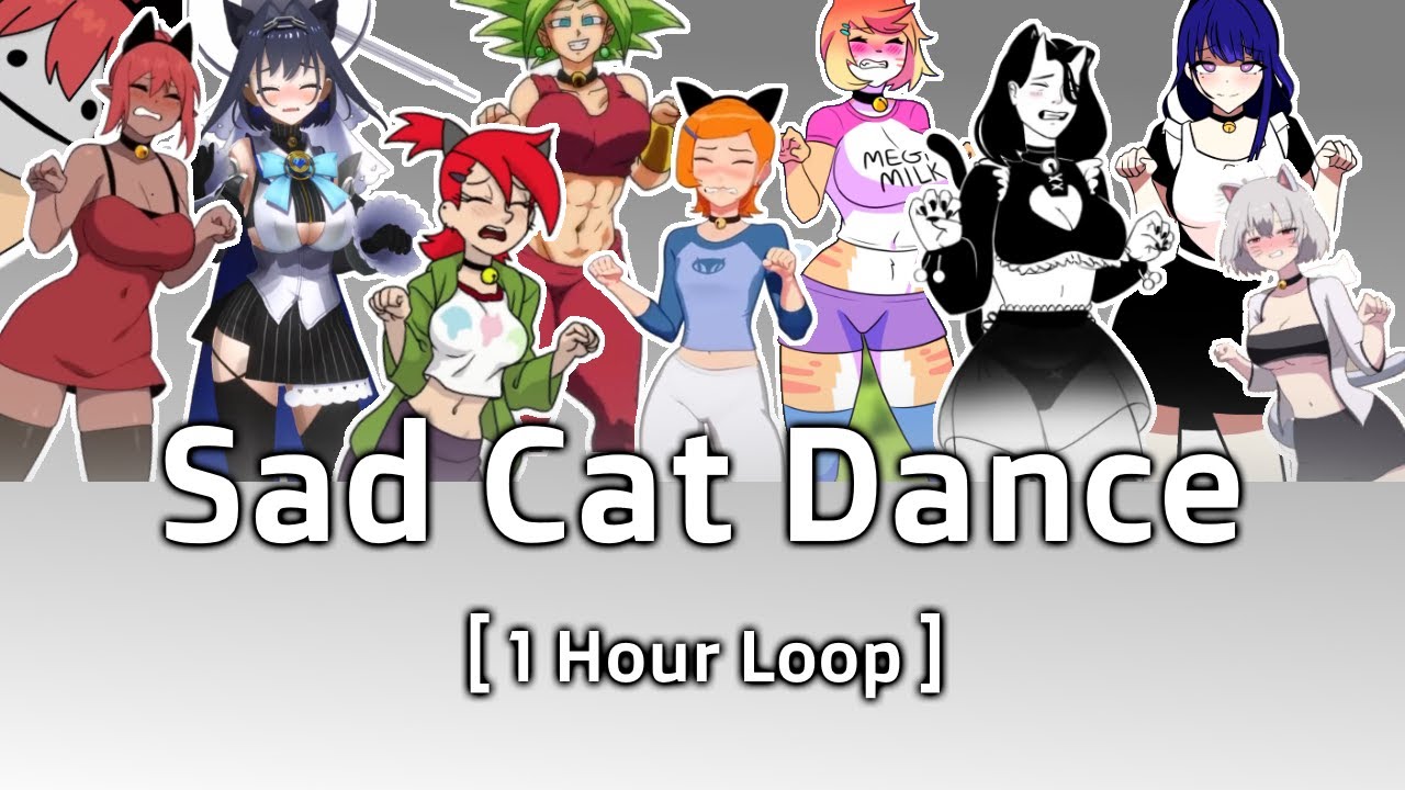 Sad Cat Dance Meme - 1 Hour Loop - YouTube