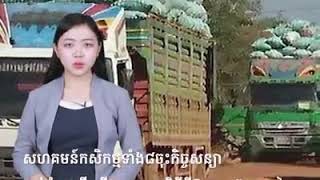 Poeunng Tryda: សហគមន៍​កសិកម្ម​ទាំង​៨​ចុះ​កិច្ចសន្យាលក់​ដំឡូងមី​សរីរាង្គ​គ្មាន​ជាតិ​គីមី​ឱ្យ​ក្រុមហ៊ុ