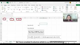EMATH3 Assignment Euler Method-Pei Yin