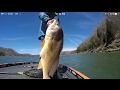 2017 FLW Tour Stop #4 on Lake Cumberland, Kentucky and RECORD DRUM!