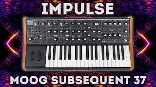 Moog Subsequent 37  - \