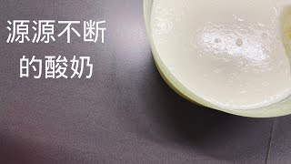 源源不断的酸奶