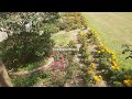 Beautiful Amazing Flower Garden Review in Near My Home Treeleaf Part 05 #TREELEAFVOICE