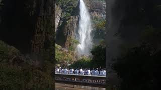 Beautiful waterfall | කොහෙද මේක තියෙන්නෙ ? #waterfall #amazing #shorts