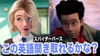 海外アニメ聞き取れるかな？スパイダーマン：スパイダーバースで英語を学ぼう【Into the Spider-verse・英会話】