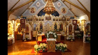 2022.04.22.  Procession of the Cross. Великая Суббота. Утреня. Малый Крестный ход.