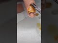 SATISFYING NAIL CLEAN OUT VIDEO