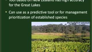 Science Behind Aquatic Invasive Plants