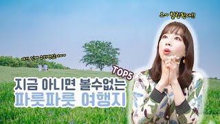 파릇파릇 초록초록 여행지 추천 TOP5 \