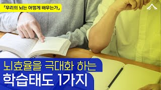 뇌효율을 극대화하는 학습 태도 1가지