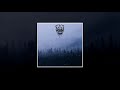Within Thy Wounds - Forest of Iniquity (FULL ALBUM)